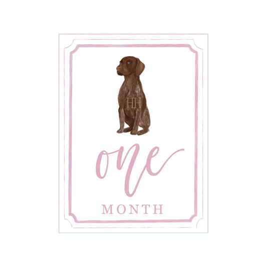 Pink GSP Milestone Cards