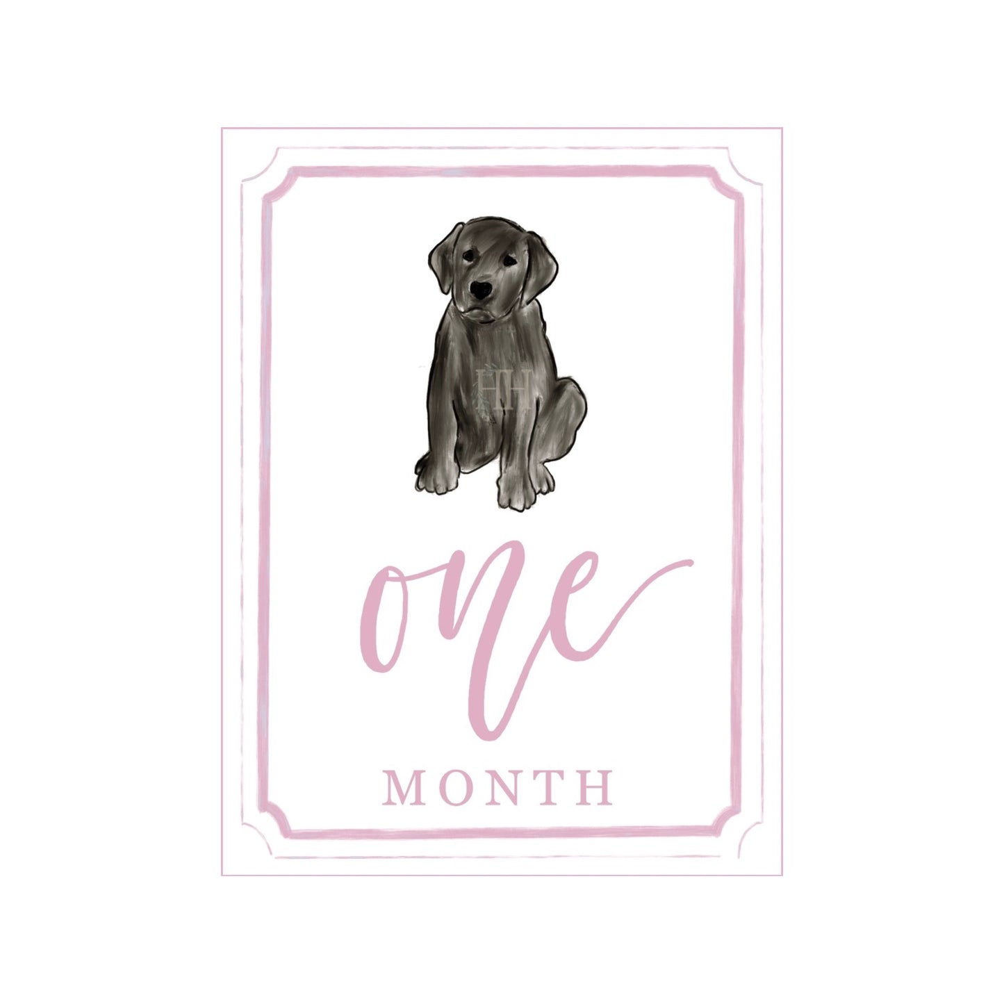 Pink Black Lab Milestone Cards