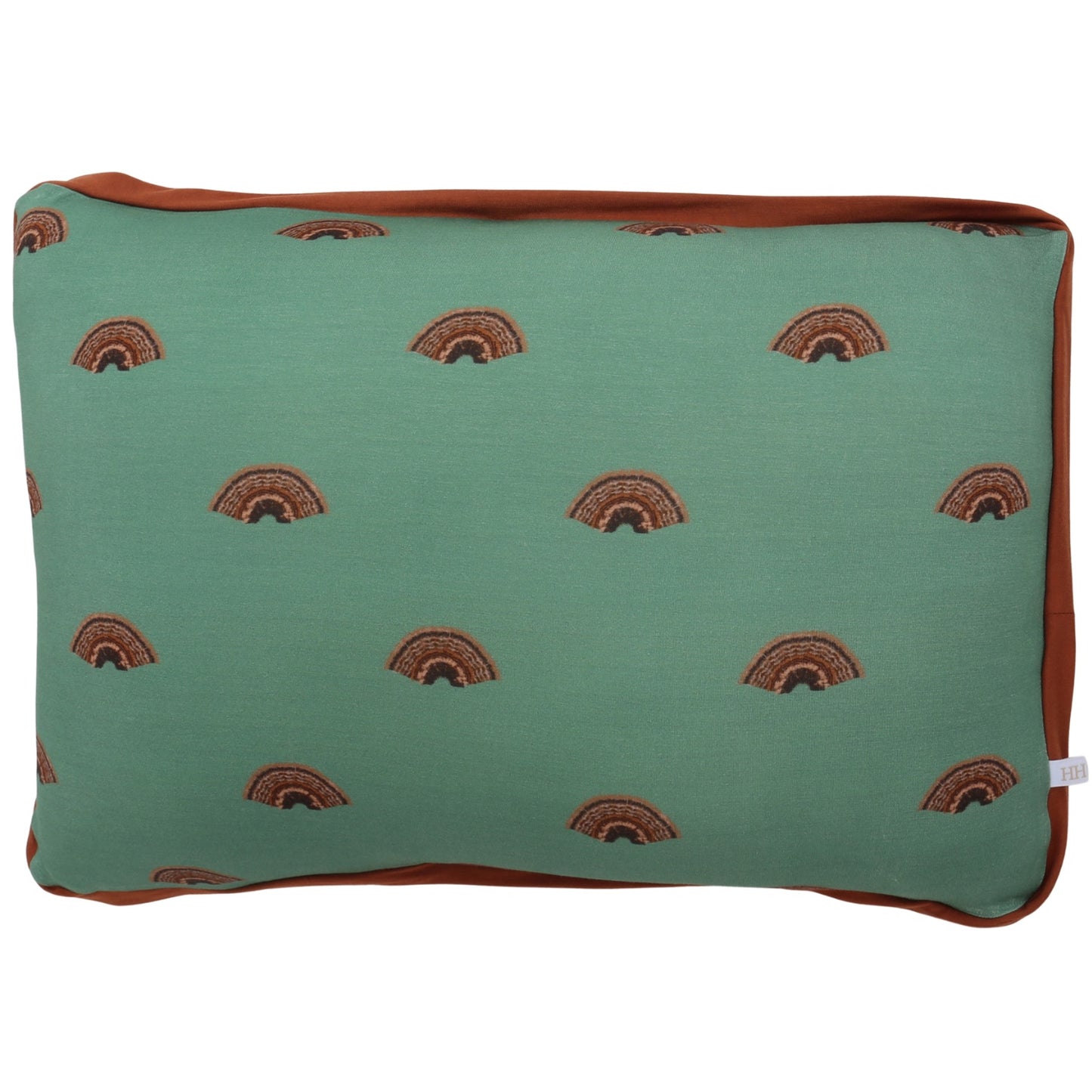 Boys Turkey Fan Throw Pillow & Pillowcase