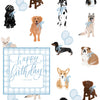Blue Happy Birthday Gift Tag