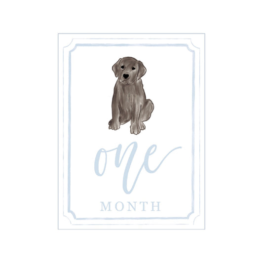 Blue Chocolate Lab Milestone Cards