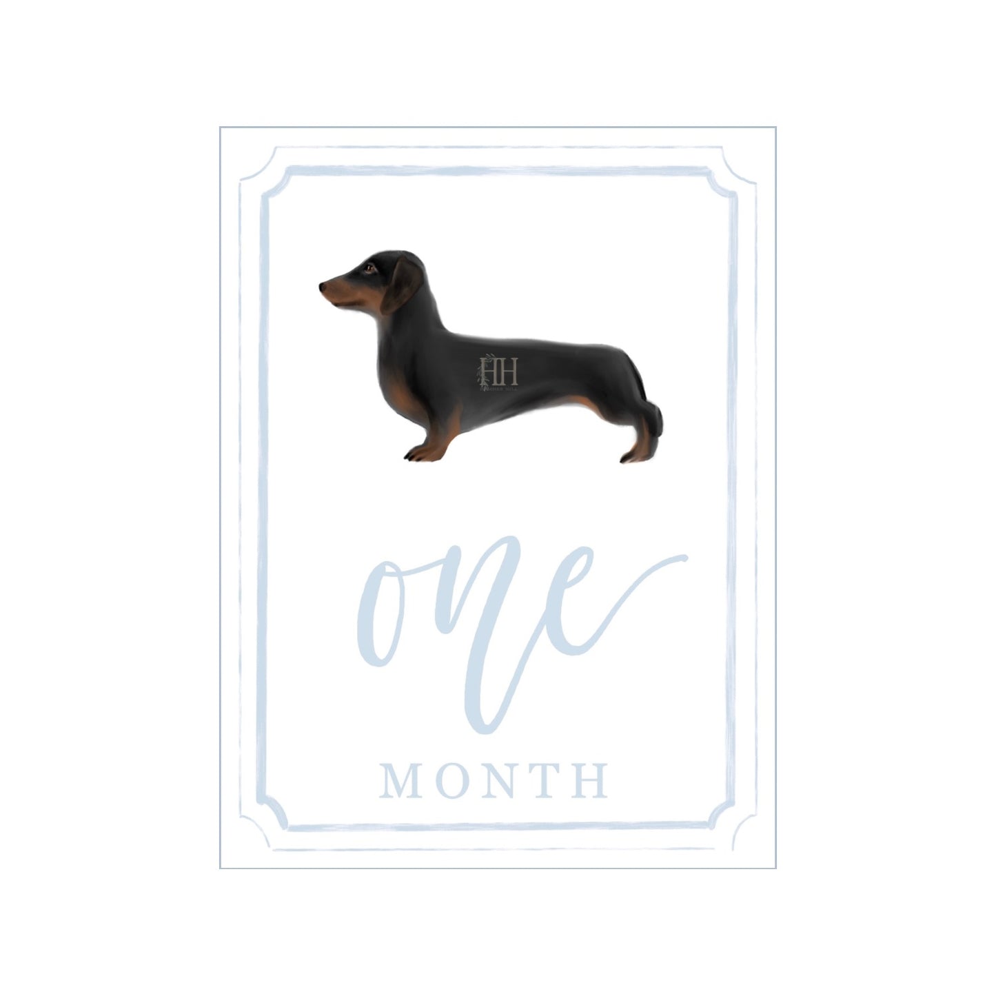 Blue Dachshund Milestone Cards