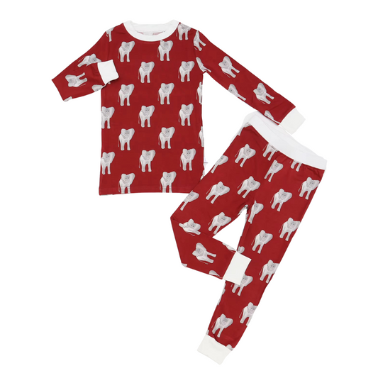 Boys Elephant Loungewear Set