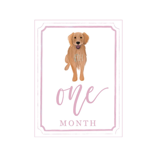 Pink Golden Retriever Milestone Cards