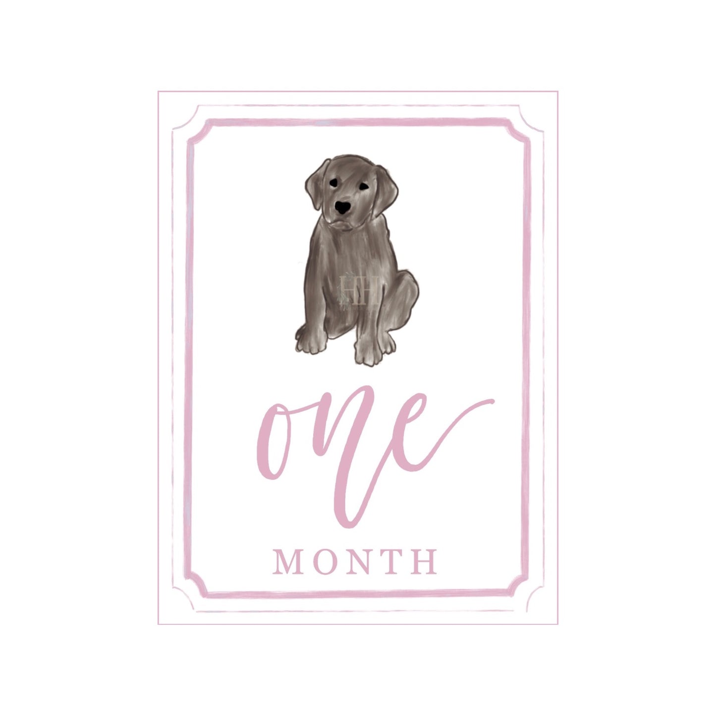 Pink Chocolate Lab Milestone Cards