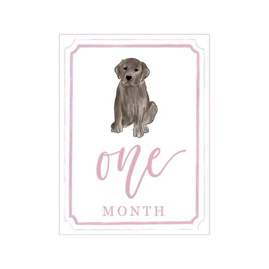 Pink Chocolate Lab Milestone Cards