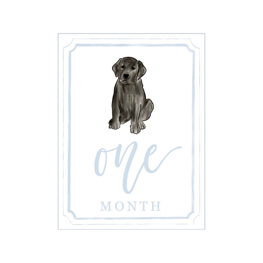 Blue Black Lab Milestone Cards