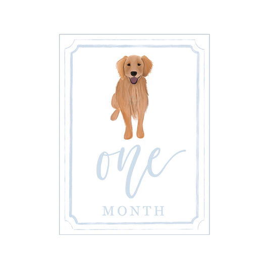 Blue Golden Retriever Milestone Cards