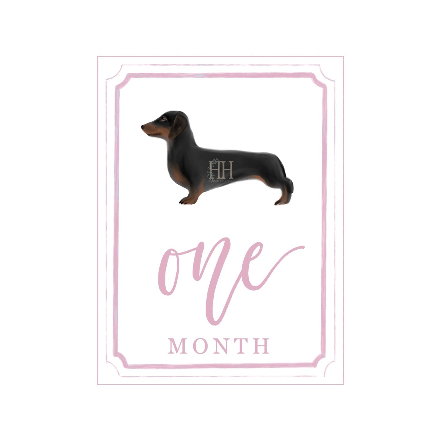 Pink Dachshund Milestone Cards