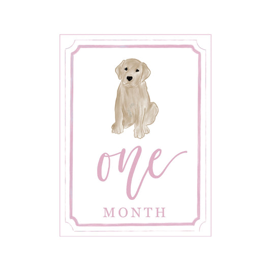 Pink Yellow Lab Milestone Cards